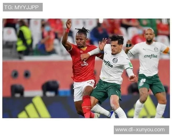 希拉尔与艾因的巅峰对决前瞻分析及赛前预测